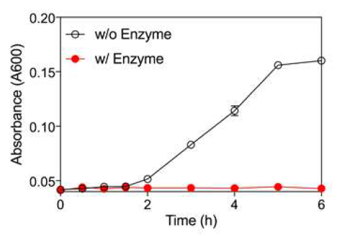 집락형성단위(CFU) 측정을 통한 나노섬유 기반 나노바이오촉매/3D-임펠러 및 효소를 고정화하지 않은 3D-임펠러 (대조군, w/o Enzyme)의 직접 살균 효과