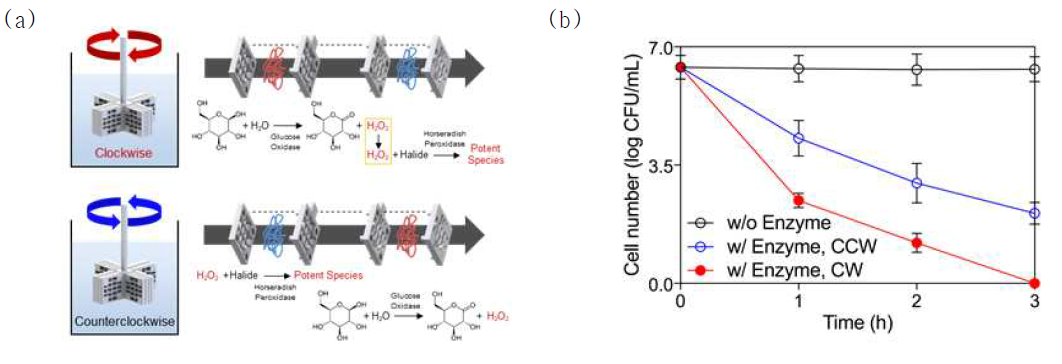 연쇄반응을 이용한 나노바이오촉매/3D-임펠러 구성 모식도 (a) 및 연쇄반응에 의한 살균 성능 비교 (b)