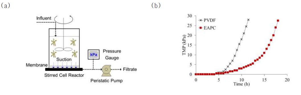 나노바이오촉매 필터의 생물막 형성 저해 효과를 평가하기 위한 막간 차압 측정 시스템 모식도 (a) 및 나노바이오촉매 필터의 생물막 형성 저해 효과 결과 (b)