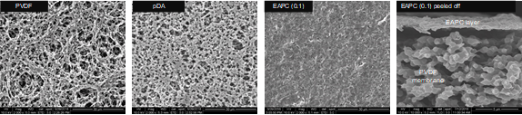 PVDF 필터, 폴리도파민이 코팅된 PVDF 필터 및 나노바이오촉매 필터의 SEM 이미지