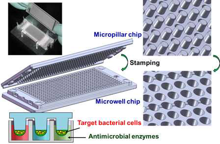 미생물 제거 효과 검출을 위한 micropillar and microwell chip platform의 모식도