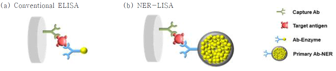 단일 효소 결합 항체를 이용한 기존 ELISA (a) 및 나노효소반응기 결합 항체를 이용한 NER-LISA (b)
