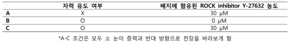 소 눈을 사용한 각막내피세포 탑재 다공성 미세입자 전달 체외 모델 실험의 다양한 조건