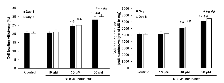 ROCK inhibitor가 다양한 농도로 첨가된 배지 조건에서 다공성 PLGA 미세세포전달시스템 내 각막내피세포의 담지율 및 담지량. 실험값 간 차이의 통계적 유의성을 보기 위해 t-검정을 진행하였음; *P<0.05, **P<0.01, ***P<0.001 (vs control). #P<0.05, ##P<0.01 (vs 10 μM)