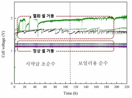 공급수 수질에 따른 수전해 장기운전 결과