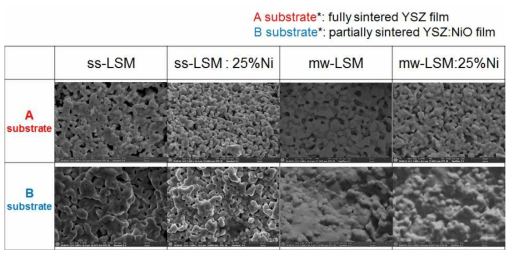 밀도가 상이한 기판에 후막으로 코팅, 소결 후 미세구조