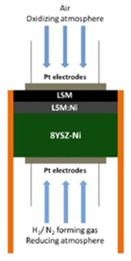 YSZ-NiO 양극 지지형 샘플