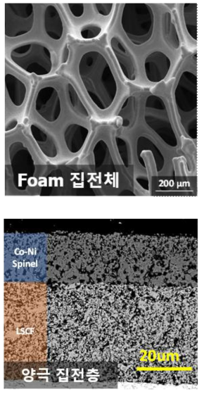 Co-Ni foam 형태의 Cr getter 집전체