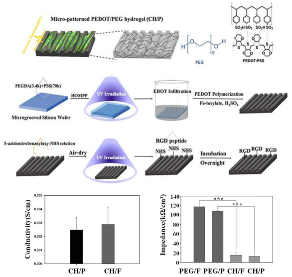 마이크로 패턴된 전도성 하이드로젤 스케폴드 제조 모식도 및 전기적 특성