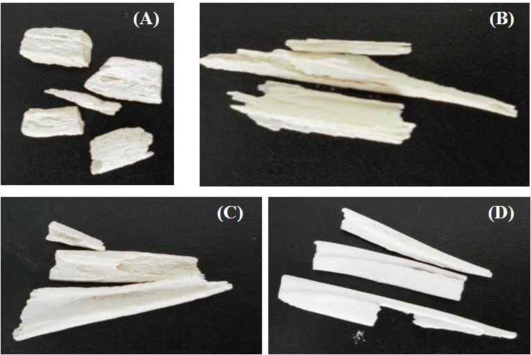 Goose-beak bones classified as time unit of deproteinization process