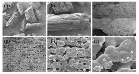 SEM photograph of the bones heat-treated at 1,200°C for goose-beak bones. (A, ×35; B, ×100; C, ×500; D, ×3,000; E, ×10,000; F, × 30,000)