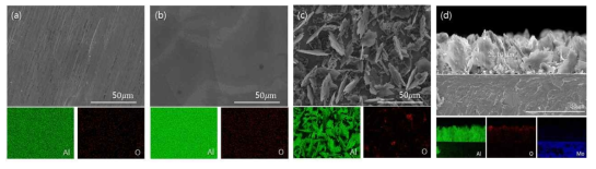 (a) as-is, (b) 전해연마, (c-d) 전해도금된 알루미늄의 표면 형상 및 에너지 분산형 X-선 분광기 원소 mapping