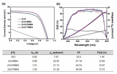 (a) Methoxy 작용기 포함하는 SAM을 도입한 페로브스카이트 태양전지의 J-V결과, (b) 태양전지의 외부양자효율