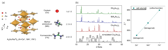 (a) Gold 기반 유사 페로브스카이트 물질 A2Au2I6 (A=Cs, MA, FA)의 결정구조, (b) 합성한 A2Au2I6 (A=Cs, MA, FA)의 powder Xray-diffration (XRD) pattern, (c) A2Au2I6 (A=Cs, MA, FA)의 unit cell volume