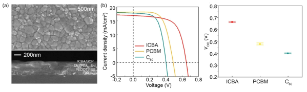 (a) FA0.9PEA0.1SnI3-ICBA 기반 태양전지의 SEM 이미지 (b) fullerene 기반 전자 전달층에 따른 FA0.9PEA0.1SnI3 태양전지 전류-전압 특성 (c) fullerene 기반 전자 전달층에 따른 FA0.9PEA0.1SnI3 태양전지 Voc