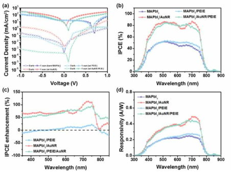 a) 페로브스카이트-AuNR/PEIE 하이브리드 광 검출기의 광전류와 암전류 (b) IPCE 스펙트럼 (c) AuNR도입에 따른 IPCE 증가 스펙트럼 (d) 응답성