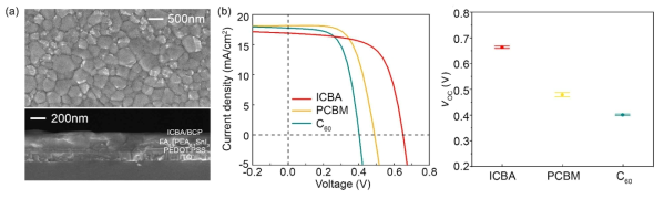 (a) FA0.9PEA0.1SnI3-ICBA 기반 태양전지의 SEM 이미지 (b) fullerene 기반 전자 전달층에 따른 FA0.9PEA0.1SnI3 태양전지 전류-전압 특성 (c) fullerene 기반 전자 전달층에 따른 FA0.9PEA0.1SnI3 태양전지 Voc 값