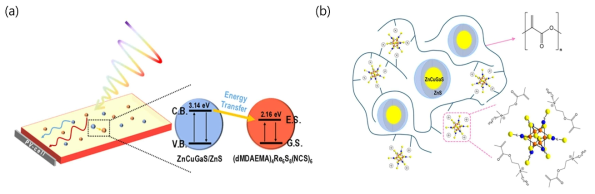 (a) 두 가지 염료 태양광 집광기에서 양자 효율이 높은 QD에서 에너지 전이가 금속클러스터염료로 일어나는 과정, (b) Zn-doped CuGaS/ZnS (ZCGS/ZnS) core/shell quantum dots-(dMDAEMA)4[Re6S8(NCS)6]-PMMA hybrid의 schematic representation