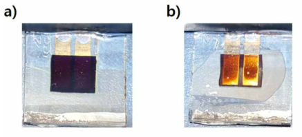 (a) Glass encapsulation 전의 페로브스카이트 태양전지와 (b) glass encapsulation 후 손상된 페로브스카이트 태양전지