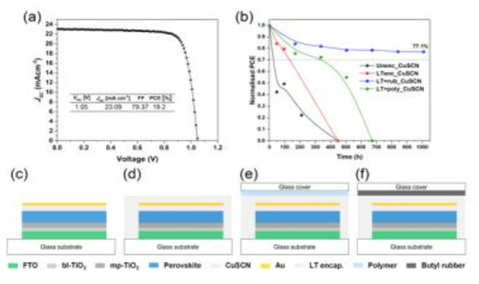 CuSCN을 적용한 태양전지 효율과 안정성 평가 결과와 제작된 소자 구조의 모식도
