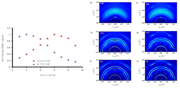 PbI2가 excess 유무에 따른 제조된 페로브스카이트의 Electron Beam Induced Current (EBIC) 및 GIWAXS