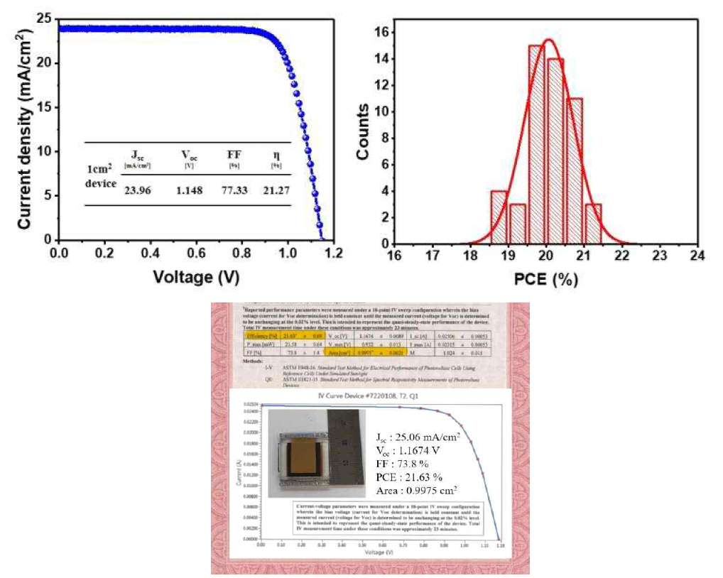 MDA, Cs이 첨가된 FAPbI3 페로브스카이트를 광흡수층으로 갖는 1cm2 면적 소자의 광전 변환 효율. 50개의 소자를 제작했을 때 효율 분포표와 공인 인증 효율
