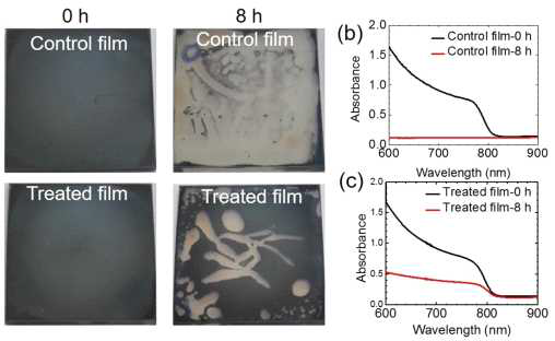 (a) FAPF6을 후 처리하지 않은 perovskite film과 처리한 film의 고습도에서 열화 비교. (상대습도 85-90%, 25 °C, dark condition에서 8시간) (b), (c) 두 조건의 peorvksite film의 UV-vis spectra