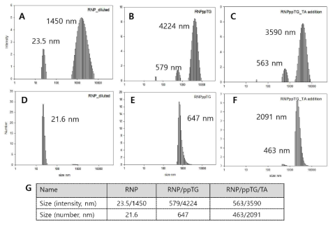 RNP (A, D), RNP/ppTG (B,E), Tannylated RNP/ppTG (C,F)의 크기를 DLS를 통해 측정하고 이 결과를 intensity (A,B,C)와 number (D,E,F) 기준으로 나타냄. (G) 측정된 입자의 크기를 표로 정리함. (복합체 조건: Cas9 5ug + gRNA 1.25ug + ppTG 7.5 nmole + TA 0.27 nmoles)