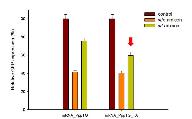 PppTG와 Tannylated PppTG (PppTG/TA molar ratio = 33)를 이용하여 siRNA를 MDAMB231GFP 세포에 도입 후 타겟 GFP의 발현 양 저해정도를 비교