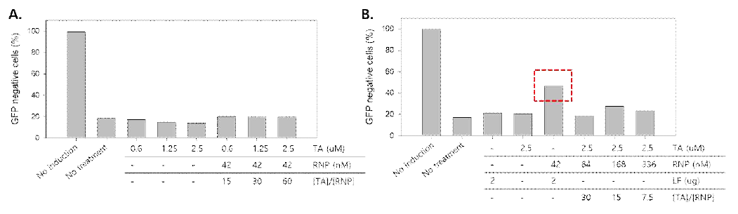 (A) 다양한 농도의 탄닌산과 결합한 42 nM RNP를 Hek293T 세포에 처리한 후 타겟 GFP의 발현 관찰. (B) 고정된 탄닌산 농도에서 다양한 농도의 RNP를 사용하여 타겟 GFP 발현 관찰. (C) Positive control인 RNP/lipofectamine이 효과적으로 GFP 발현을 억제함(붉은 상자) (실험조건: MDAMB231 GFP 세포에 33nM의 Cas9/gRNA를 다양한 전달체와 섞어 serum free 상태에서 처리하여 이틀 후에 FACS로 GFP 발현 양 측정)