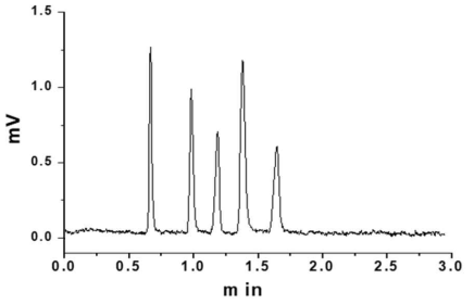 혼합형 리간드 정지상 (styrene 1mL, N-phenylcrylamide 50 mg의 혼합물을 공중합시킨 정지상)을 충전한 컬럼(내경 1 mm, 길이 10 cm)으로 얻은 펩티드 시료의 크로마토그램. 이동상: 60/40 아세토니트릴/20 mM ammonium formate. 용리순서: Trp-Gly, Thr-Tyr-Ser, angiotensin I, isotocin, bradykinin. 유속 : 0.15 mL/min. 평균 이론단수 (N) =16,300