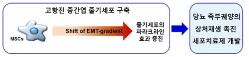 본 연구의 개요