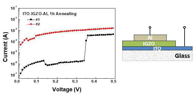 IGZO와 Al 사이의 계면 절연막 효과. 1시간 열처리 후 전압전류 특성으로 절연막이 잘 형성된 경우는 전류가 작고 0.35 V 근처에서 절연파괴가 일어나는 것을 볼 수 있다
