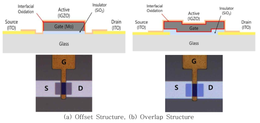 계면 산화 절연막을 적용한 bottom 게이트 박막트랜지스터 단면구조