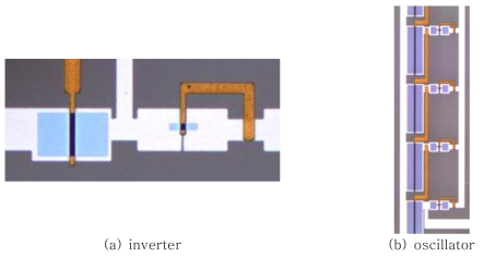 bottom gate TFT로 제작된 Inverter 및 oscillator