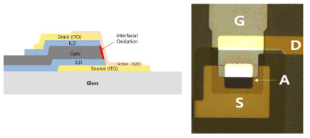 열계면산화 절연막을 적용한 수직 구조 박막트랜지스터 단면구조 및 현미경 사진