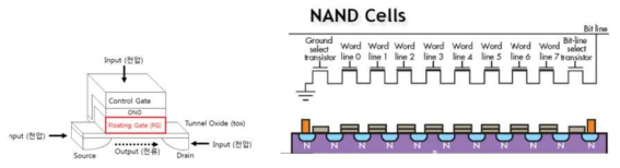 NAND Cells 에 사용되는 트랜지스터의 구조와(좌) 트랜지스터 들이 직렬로 연결된 NAND cell의 구조(우)