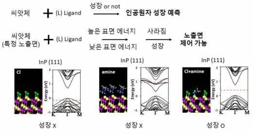 DFT 계산 기반 InP 양자점 성장 가능성 예측