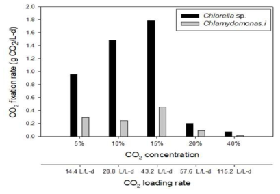 유입 이산화탄소 농도에 따른 이산화탄소 고정화율 비교 (0.2 vvm)