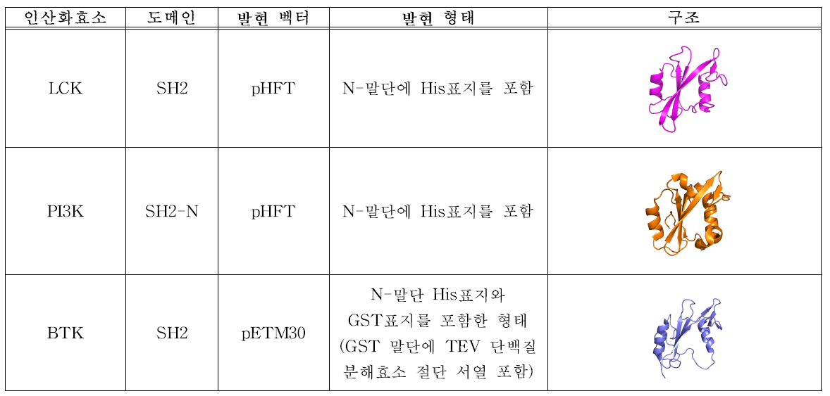 각 종양 유발 인산화효소의 allosteric regulatory 도메인 발현 형태