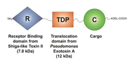 박테리아 독소 단백질 기반 전달 시스템