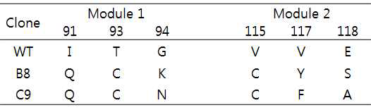 PI3K의 nSH2 도메인에 결합하는 리피바디로부터 결합력이 증대된 리피바디들의 아미노산 서열