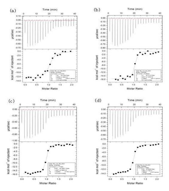 등온 적정 열량 측정법을 통한 Lck SH2 도메인과 선별된 리피바디들 사이의 결합 친화도 측정. (a) G8 클론 (b) A4 클론 (c) B9 클론 (d) D3 클론