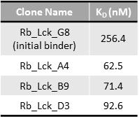 Lck의 SH2 도메인을 표적하는 리피바디들의 결합력