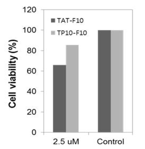 세포 생존 정도 (cell viability %) 확인