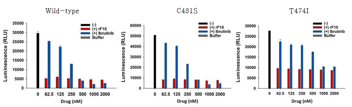 rF10과 ibrutinib의 농도를 62.5 nM부터 2000 nM까지 세분화하여 처리하였을 때, wild-type과 C481S, T474I를 포함한 Btk의 SH2-KD의 활성 측정 결과