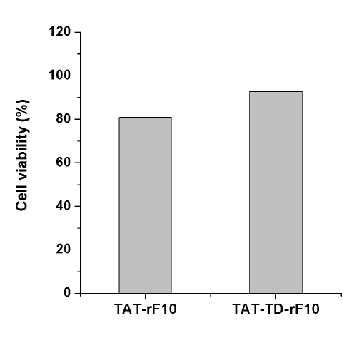 세포 생존 정도 (cell viability %) 비교