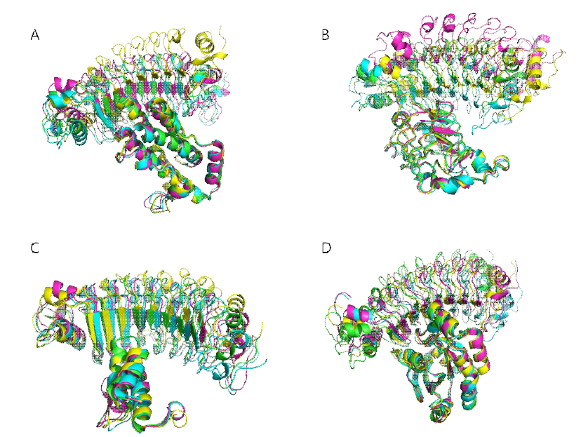 ClusPro docking 구조 및 이를 rosetta_scripts를 이용하여 추가 조정한 도킹 모델. ClusPro 도킹 구조는 하늘색으로 나타나 있으며 대표적으로 3개의 추가 조정 모델이 나타나 있음. 각각 A) IL6, B) Egfr C) C5a, D) rac1 과의 도킹 구조를 나타내고 있음