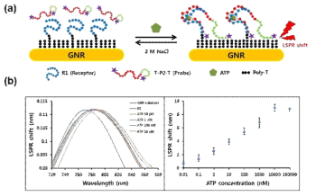 TAMRA-split aptamer를 이용한 ATP 검출 모식도 (a) 및 LSPR shift에 따른 ATP 농도별 검출 (b)