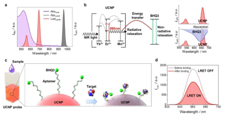 UCNP-aptamer를 이용한 곰팡이독소 검출 원리